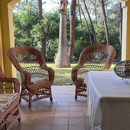 Apartamento Green Golf Islantilla Ngoại thất bức ảnh